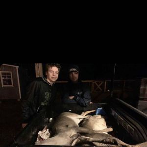 Meet your Posher, Joey